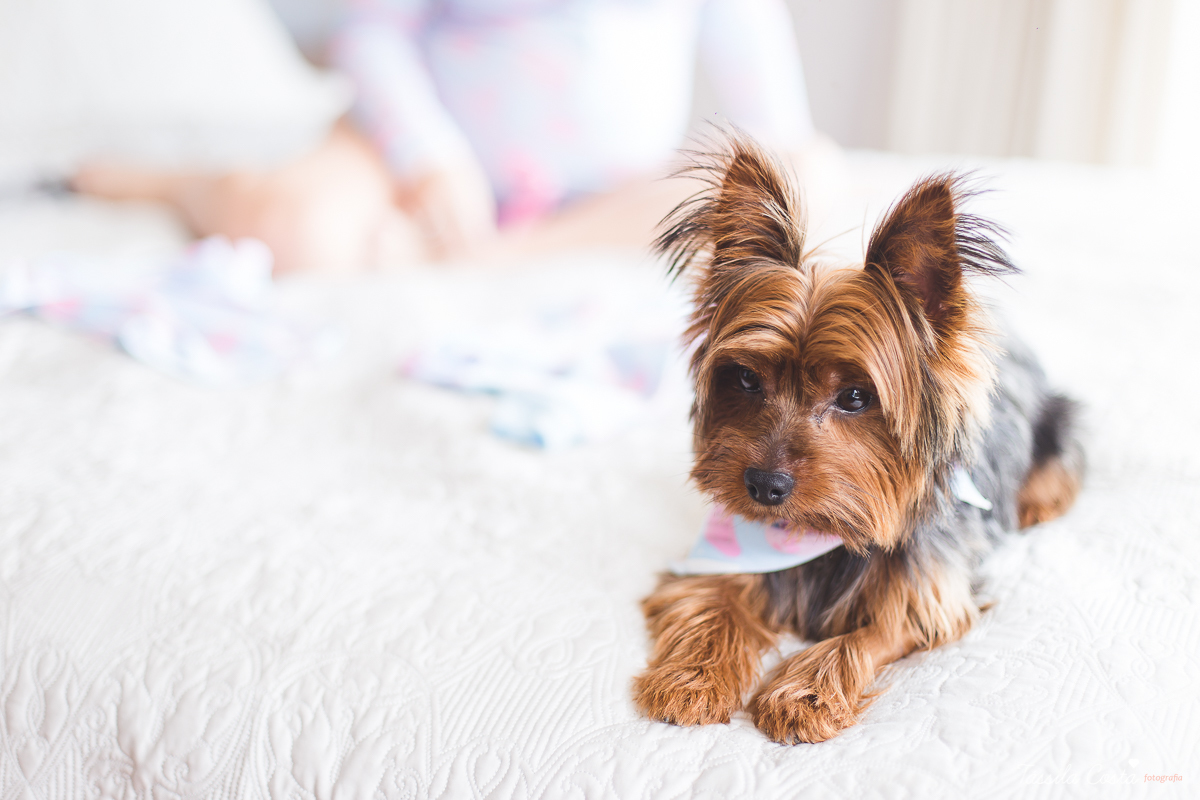 FOTOS LINDAS EM PEDRA AZUL, grávida em Pedra Azul, lugar para tirar foto em Pedra Azul, lugar lindo para tirar fotos gestantes em Pedra Azul, fotografia de família, turismo em Pedra Azul, fotografia de gestante, fotógrafa de gestante, grávida linda, es
