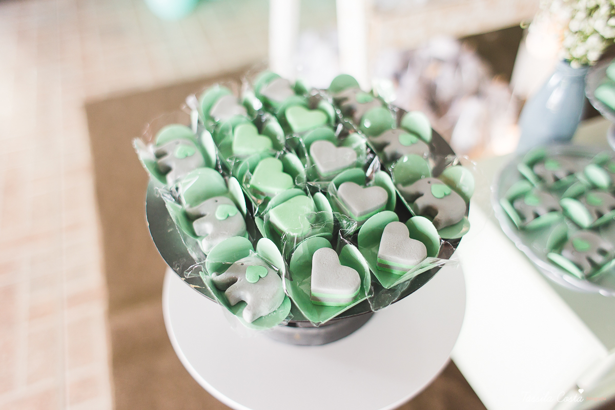 chá de bebê do Pedro, festa para chá de bebê, mundo azul, Praia de Itaparica, Casarão Verde, decoração linda para chá de bebê, fotografia no chá de bebê, fotografia de família em vila velha, es