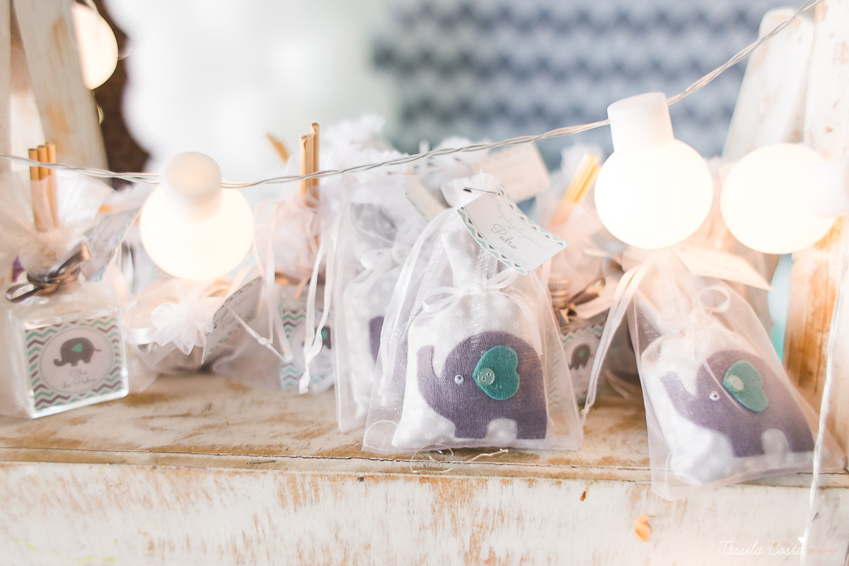 chá de bebê do Pedro, festa para chá de bebê, mundo azul, Praia de Itaparica, Casarão Verde, decoração linda para chá de bebê, fotografia no chá de bebê, fotografia de família em vila velha, es