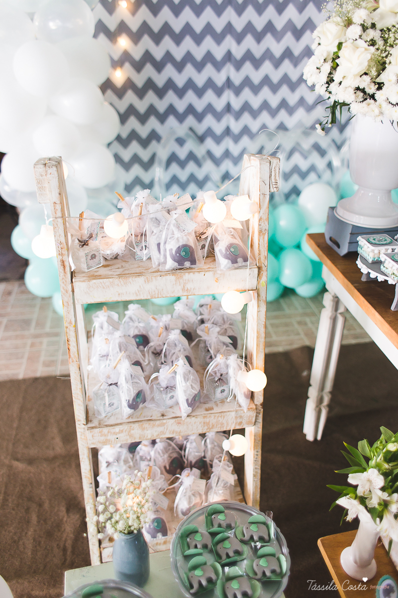 chá de bebê do Pedro, festa para chá de bebê, mundo azul, Praia de Itaparica, Casarão Verde, decoração linda para chá de bebê, fotografia no chá de bebê, fotografia de família em vila velha, es