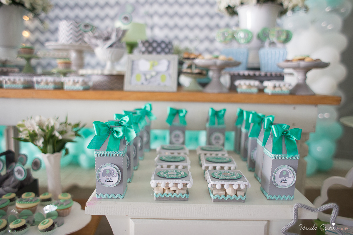 chá de bebê do Pedro, festa para chá de bebê, mundo azul, Praia de Itaparica, Casarão Verde, decoração linda para chá de bebê, fotografia no chá de bebê, fotografia de família em vila velha, es