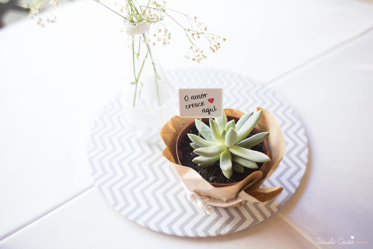 chá de bebê do Pedro, festa para chá de bebê, mundo azul, Praia de Itaparica, Casarão Verde, decoração linda para chá de bebê, fotografia no chá de bebê, fotografia de família em vila velha, es