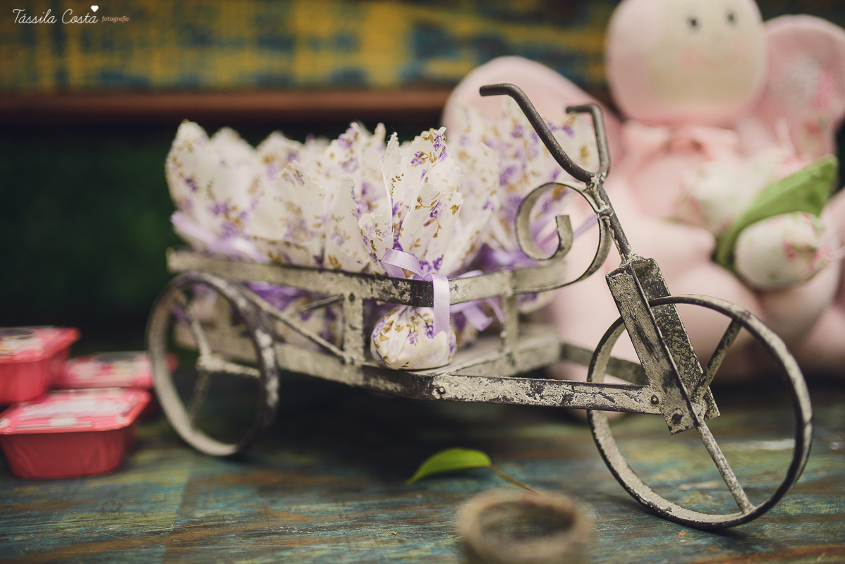 tássila foto, fotografia de festa infantil, festa na Praia da Costa, Oficina de Festas, Mirela 1 ano, festa da Mirela, Mirela 1 aninho, festa de 1 aninho, festa infantil na Praia da Costa, fotografia de família, festas lindas, vila velha es,