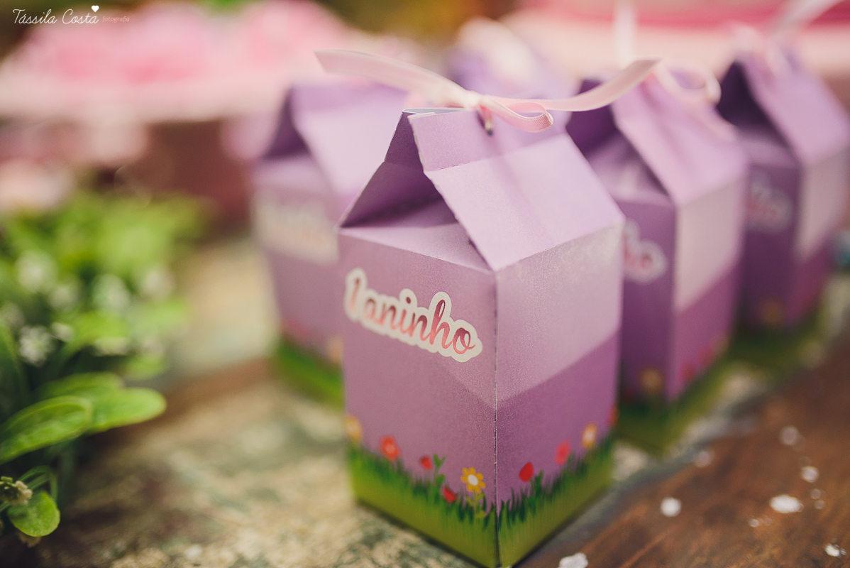 tássila foto, fotografia de festa infantil, festa na Praia da Costa, Oficina de Festas, Mirela 1 ano, festa da Mirela, Mirela 1 aninho, festa de 1 aninho, festa infantil na Praia da Costa, fotografia de família, festas lindas, vila velha es,