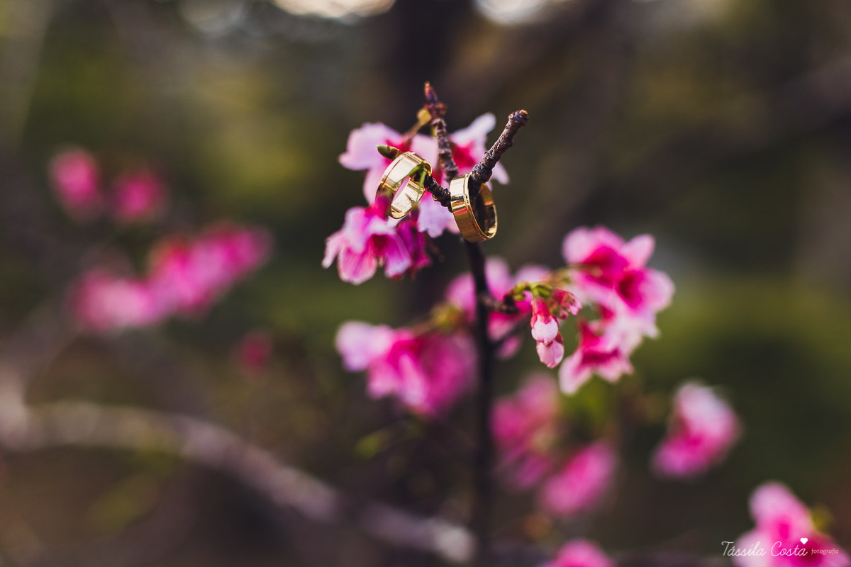 fotos externas de casamento, ideias para fotos de casamento, externas dos noivos, fotos em Pedra Azul, Domingos Martins para fazer fotos pós casamento, lugar lindo em Pedra Azul para fotos de casamento, fotos após o casamento com os noivos, tássila costa 