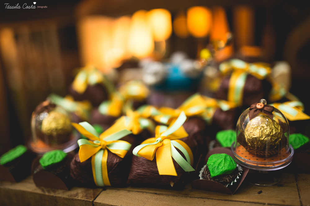 tassila costa, tassila costa fotografia, tassila costa fotografa, tassila foto, fotografia, vila velha, vitoria, vix, es, aniversario, aniversario infantil, festa infantil, festa de irmaos, festa de menina, festa de menino, festa, festa em vila velha, tem