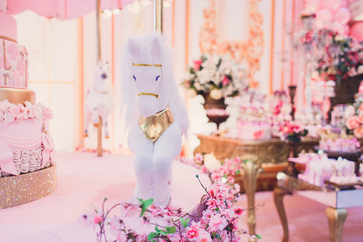 festa de menina no tema Carrossel, festa linda em vitória ES, cerimonial lindo em Vitória ES, fotografia de festa infantil, fotógrafa profissional de festa infantil, amo festas, cidade linda e festeira, Maya 1 ano, papais que amam festa, le Infance do ES