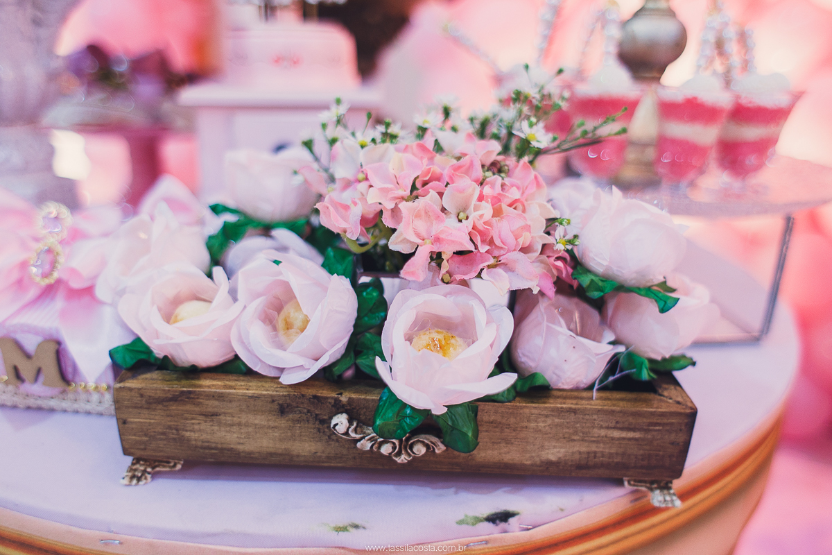 festa de menina no tema Carrossel, festa linda em vitória ES, cerimonial lindo em Vitória ES, fotografia de festa infantil, fotógrafa profissional de festa infantil, amo festas, cidade linda e festeira, Maya 1 ano, papais que amam festa, le Infance do ES