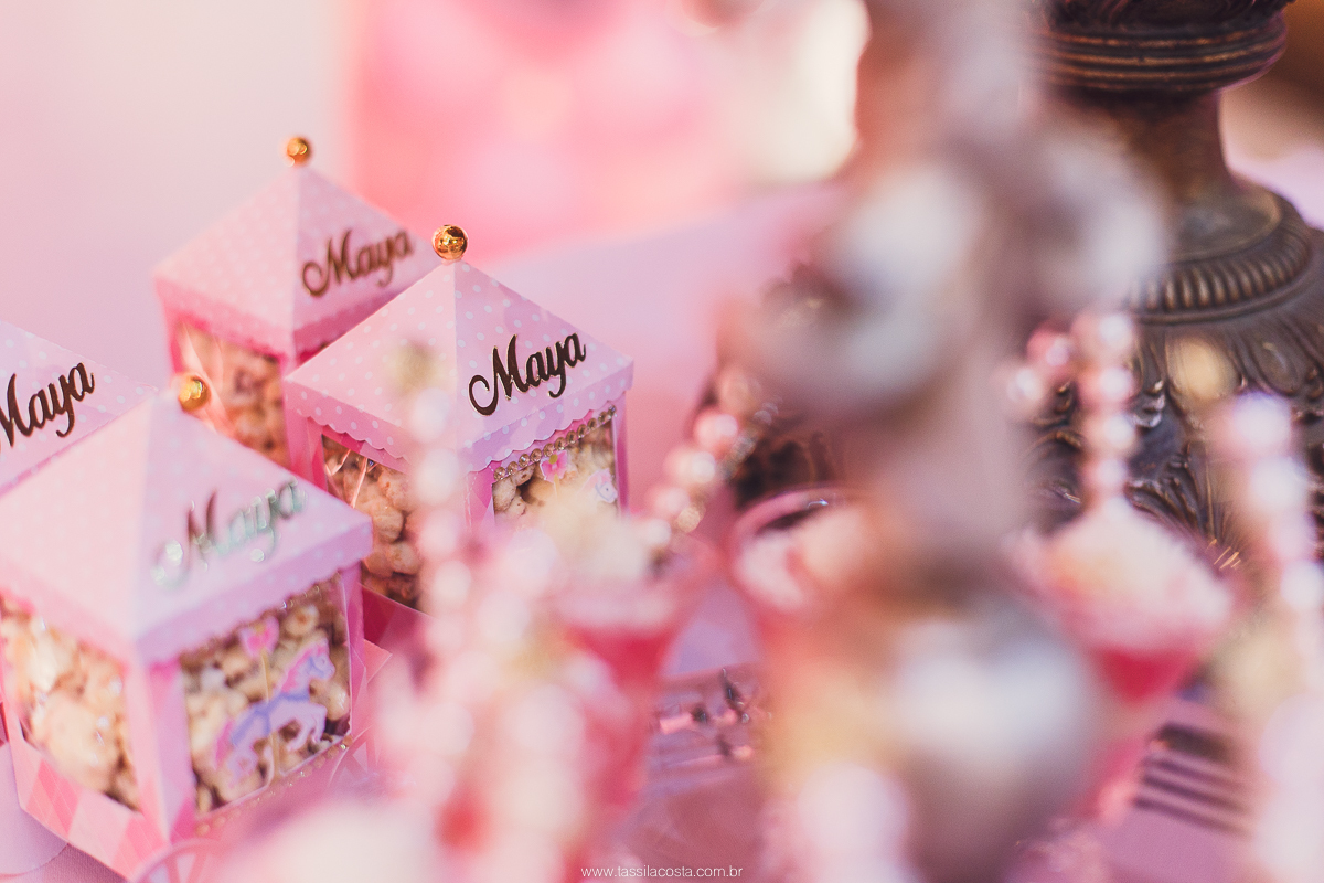 festa de menina no tema Carrossel, festa linda em vitória ES, cerimonial lindo em Vitória ES, fotografia de festa infantil, fotógrafa profissional de festa infantil, amo festas, cidade linda e festeira, Maya 1 ano, papais que amam festa, le Infance do ES