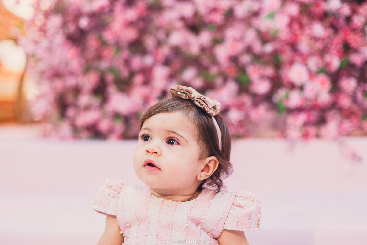 festa de menina no tema Carrossel, festa linda em vitória ES, cerimonial lindo em Vitória ES, fotografia de festa infantil, fotógrafa profissional de festa infantil, amo festas, cidade linda e festeira, Maya 1 ano, papais que amam festa, le Infance do ES