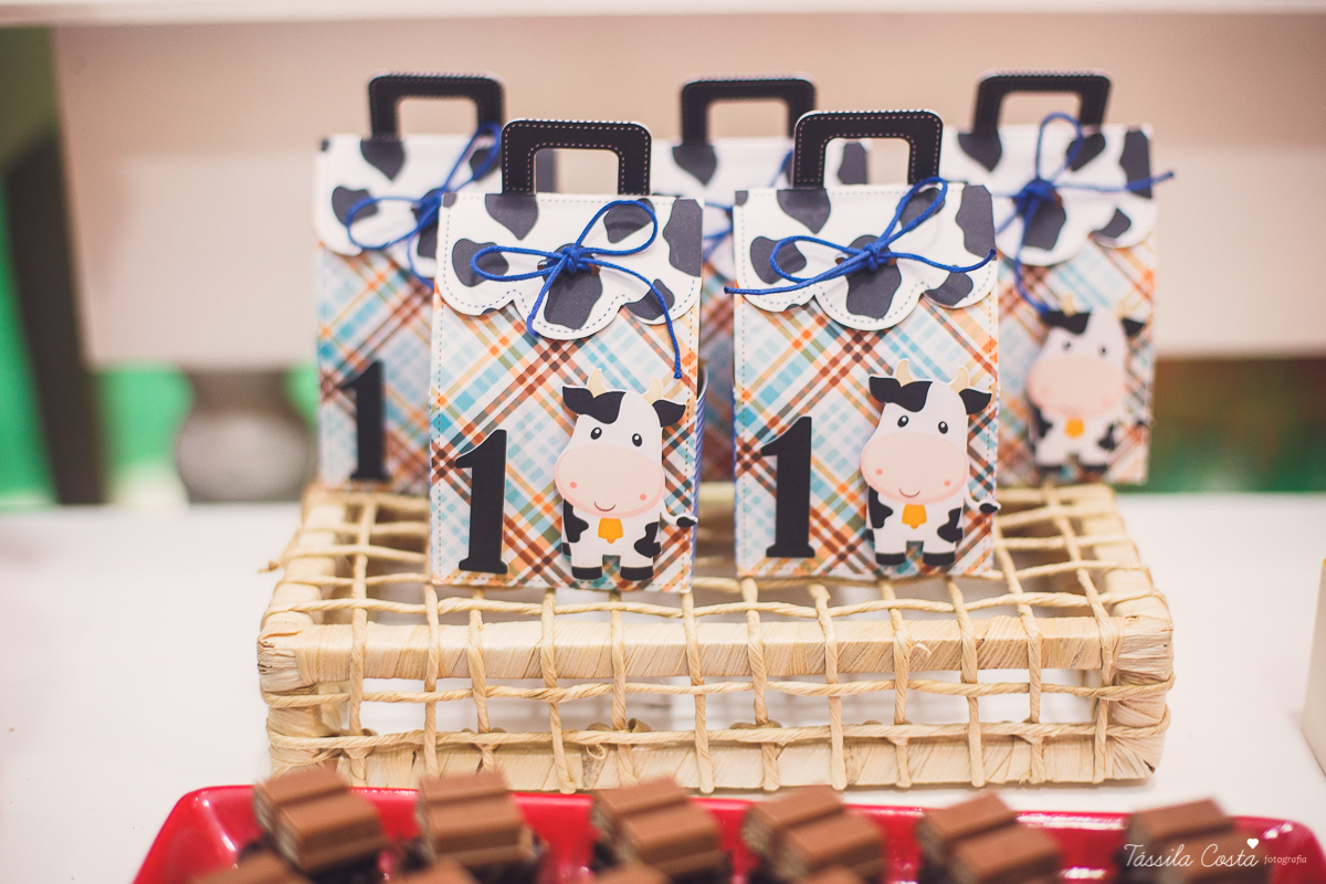 aniversário lindo do Salomão, doces panela de brownie, aniversário de 1 ano no condomínio na Praia de Itaparica, Tássila Costa fotografia, festa no tema fazendinha para meninos