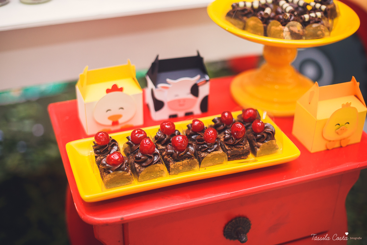 aniversário lindo do Salomão, doces panela de brownie, aniversário de 1 ano no condomínio na Praia de Itaparica, Tássila Costa fotografia, festa no tema fazendinha para meninos