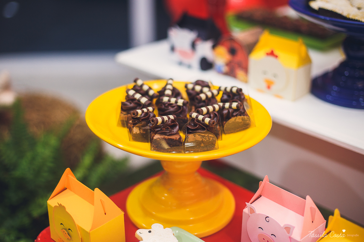 aniversário lindo do Salomão, doces panela de brownie, aniversário de 1 ano no condomínio na Praia de Itaparica, Tássila Costa fotografia, festa no tema fazendinha para meninos