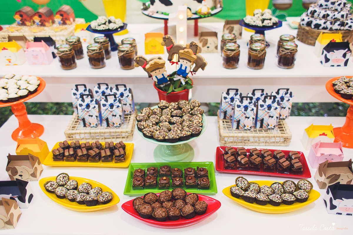 aniversário lindo do Salomão, doces panela de brownie, aniversário de 1 ano no condomínio na Praia de Itaparica, Tássila Costa fotografia, festa no tema fazendinha para meninos