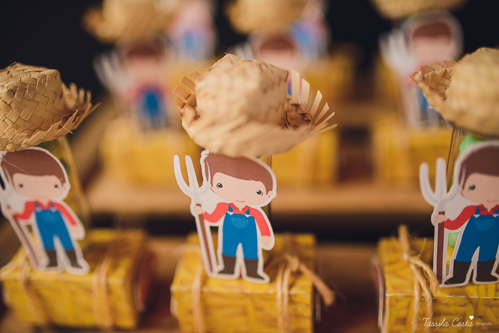 tassila costa, tassila costa fotografia, tassila costa fotografa, tassila foto, fotografia, vila velha, vitoria, vix, es, aniversario, aniversario infantil, festa infantil, festa menino, 01 ano, festa, festa em vila velha, tema fazendinha, fazendinha, par