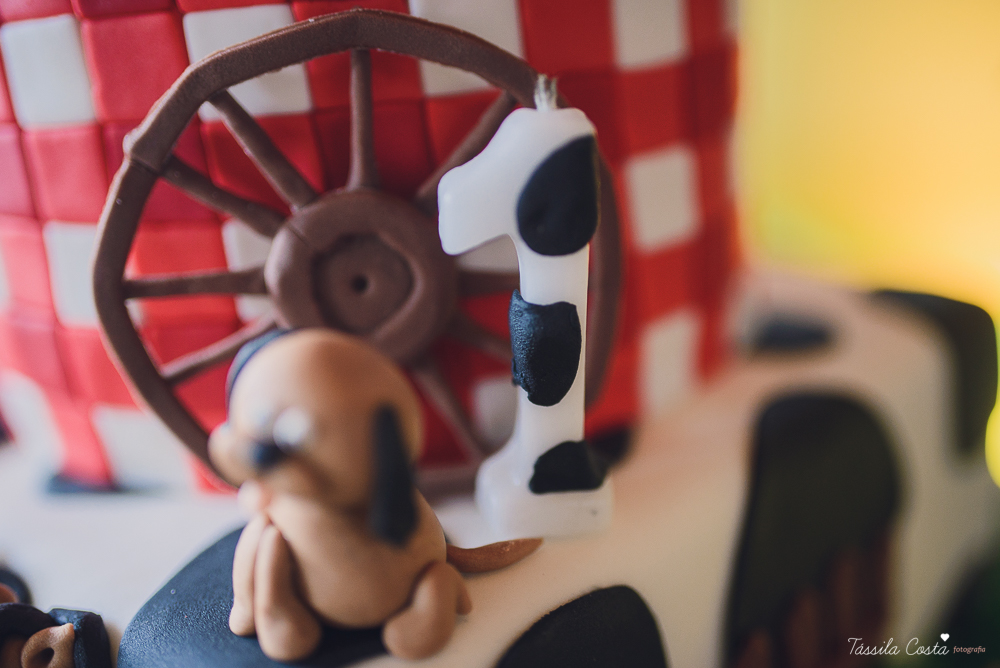 tassila costa, tassila costa fotografia, tassila costa fotografa, tassila foto, fotografia, vila velha, vitoria, vix, es, aniversario, aniversario infantil, festa infantil, festa menino, 01 ano, festa, festa em vila velha, tema fazendinha, fazendinha, par