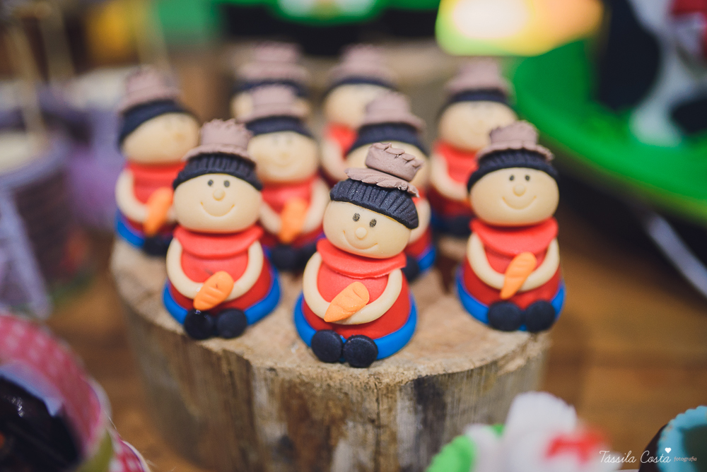 tassila costa, tassila costa fotografia, tassila costa fotografa, tassila foto, fotografia, vila velha, vitoria, vix, es, aniversario, aniversario infantil, festa infantil, festa menino, 01 ano, festa, festa em vila velha, tema fazendinha, fazendinha, par