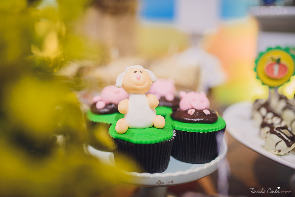 tassila costa, tassila costa fotografia, tassila costa fotografa, tassila foto, fotografia, vila velha, vitoria, vix, es, aniversario, aniversario infantil, festa infantil, festa menino, 01 ano, festa, festa em vila velha, tema fazendinha, fazendinha, par