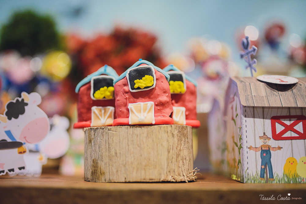 tassila costa, tassila costa fotografia, tassila costa fotografa, tassila foto, fotografia, vila velha, vitoria, vix, es, aniversario, aniversario infantil, festa infantil, festa menino, 01 ano, festa, festa em vila velha, tema fazendinha, fazendinha, par