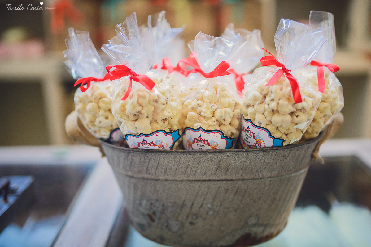 tássila costa, fotografia de aniversário infantil, festa linda, festa de menino, festa dos sonhos, cerimonial jardim secreto, decoração da Mimos da Dinda, fotos de aniversário, diogo 1 ano, inspiração para 