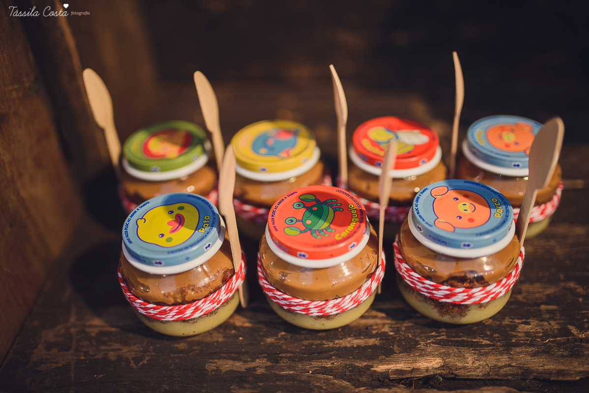 tássila costa, fotografia de aniversário infantil, festa linda, festa de menino, festa dos sonhos, cerimonial jardim secreto, decoração da Mimos da Dinda, fotos de aniversário, diogo 1 ano, inspiração para 