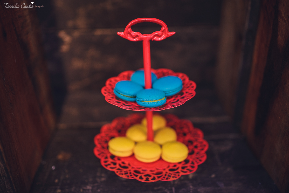 tássila costa, fotografia de aniversário infantil, festa linda, festa de menino, festa dos sonhos, cerimonial jardim secreto, decoração da Mimos da Dinda, fotos de aniversário, diogo 1 ano, inspiração para 