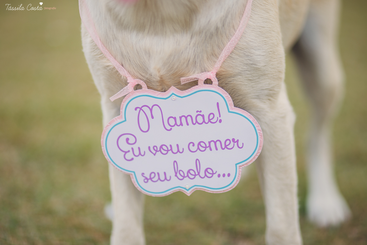 ensaio lindo, ensaio externo, carol dias, fotos externas, ilha do frade, ensaio lindo na ilha do frade, vitória, fotos de mulher, pré aniversário, fotos criativas, fotos lindas, foto com cachorro, amo cachorro, fotógrafa em vit