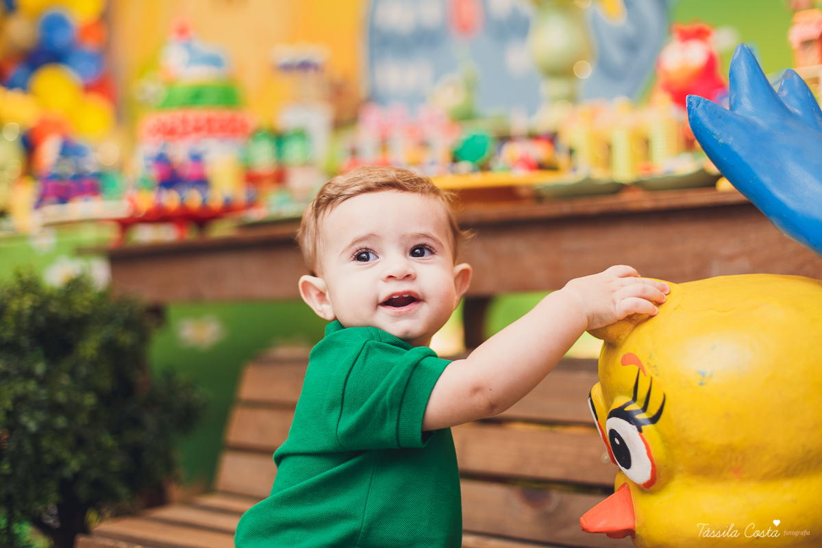 fotografia de festa infantil. no Cerimonial O Mais Legal, em Vitória, Bairro de Fátima, festa de menino, decoração da Galinha Pintadinha, do Cerimonial O Mais Legal, fotos lindas de aniversário infantil em Vitória ES, o que vestir no aniversário do filho