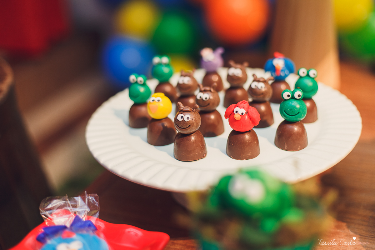 fotografia de festa infantil. no Cerimonial O Mais Legal, em Vitória, Bairro de Fátima, festa de menino, decoração da Galinha Pintadinha, do Cerimonial O Mais Legal, fotos lindas de aniversário infantil em Vitória ES, o que vestir no aniversário do filho
