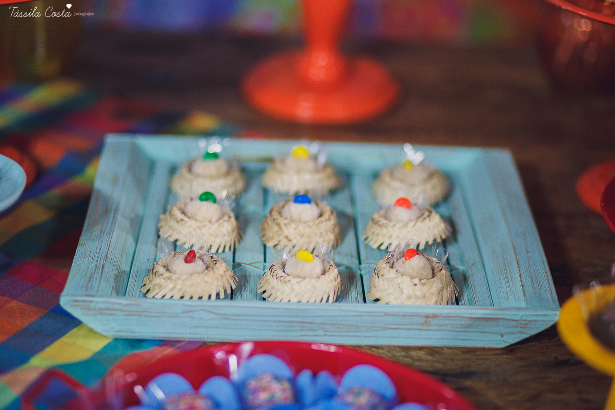 festa de adulto no tema festa junina, dia de são joão, em Vila Velha es, aniversariante Jéssica Scarpi, evento lindo, aniversário em família no condomínio do prédio, fotos pra vida, recordação
