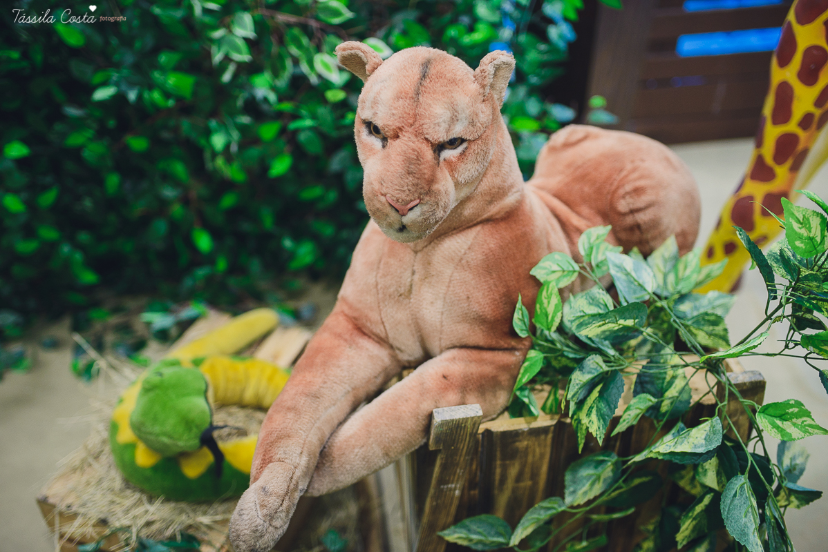 festa linda para o otávio, que completou 1 ano de vida, e comemorou com amigos e familiares no cerimonial infantil em jardim da penha, pirlim pim lim, fotografia de tássila costa fotografia, festa de menino com o tema safari, festa dos sonho