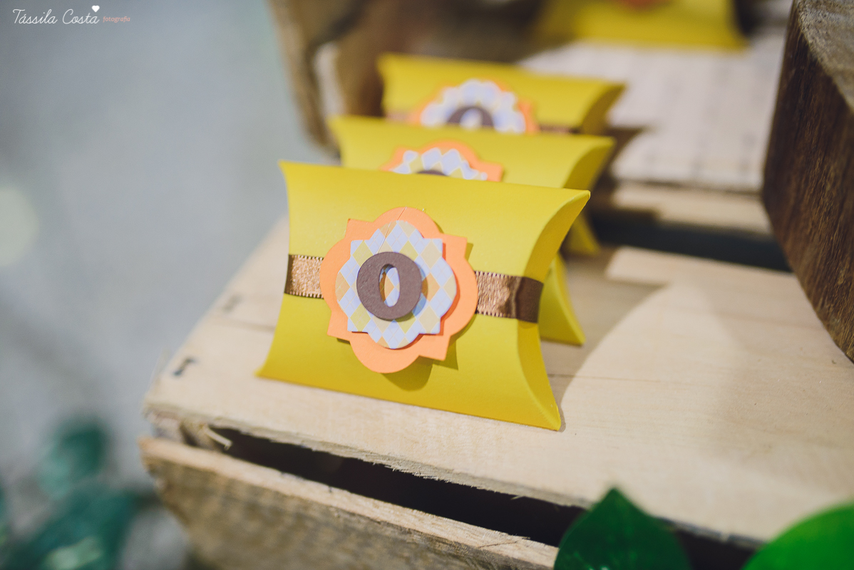 festa linda para o otávio, que completou 1 ano de vida, e comemorou com amigos e familiares no cerimonial infantil em jardim da penha, pirlim pim lim, fotografia de tássila costa fotografia, festa de menino com o tema safari, festa dos sonho