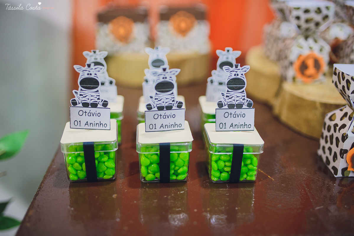 festa linda para o otávio, que completou 1 ano de vida, e comemorou com amigos e familiares no cerimonial infantil em jardim da penha, pirlim pim lim, fotografia de tássila costa fotografia, festa de menino com o tema safari, festa dos sonho