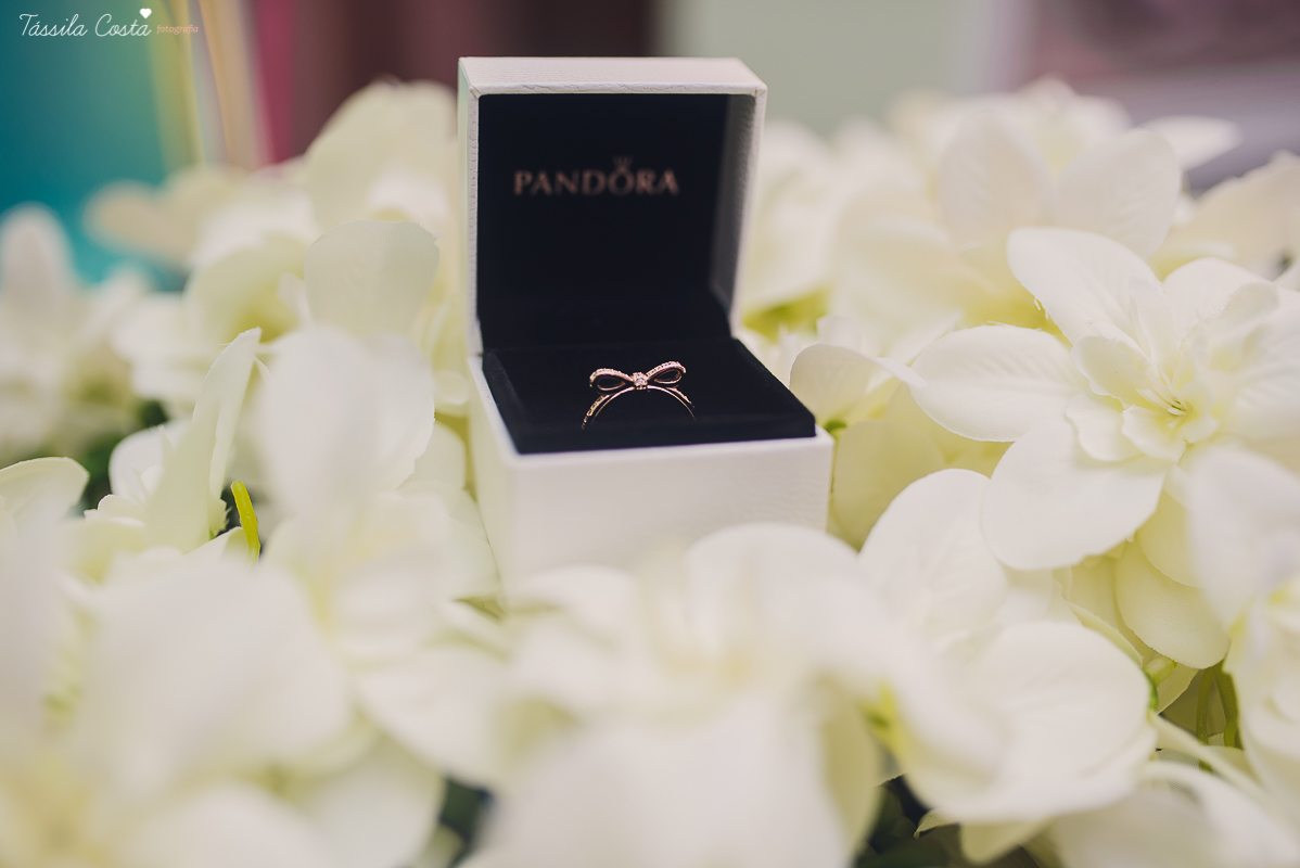 festa dos sonhos da Yasmin, aniversário de 15 anos, festa de princesa, tema carrossel, debutante Yasmin, festa em vitória es, no cerimonial o mais legal, decoração linda de 15 anos, festa maravilhosa, festa rosa e azul, 15 anos