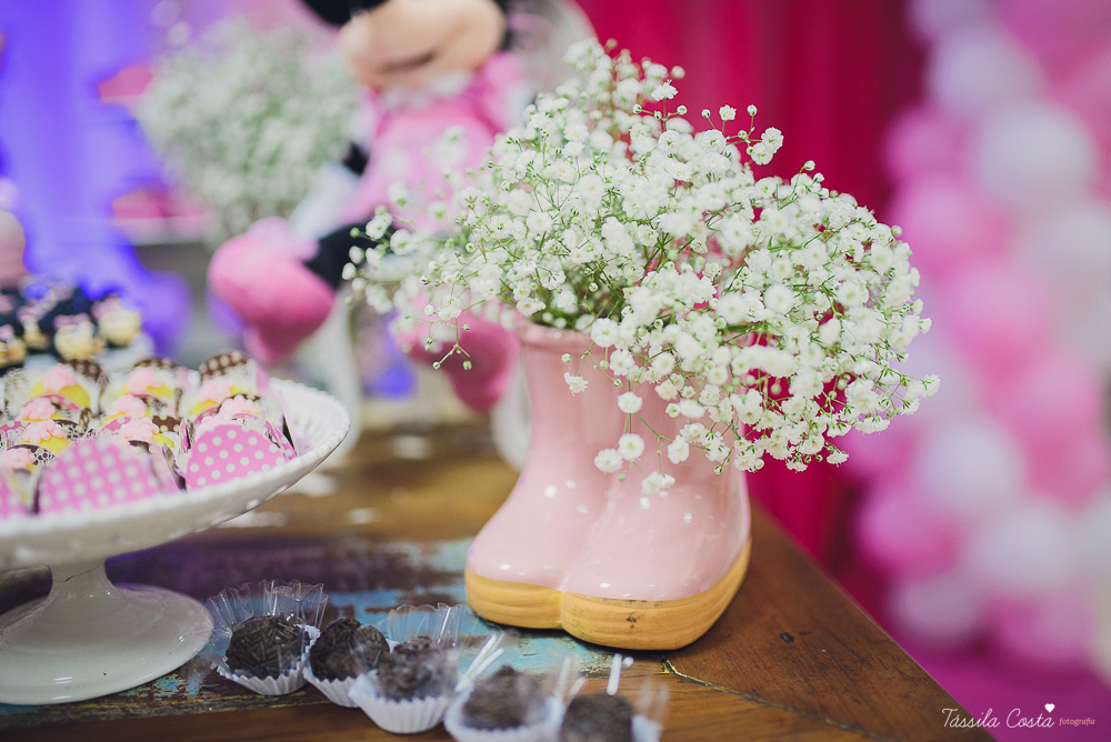 fotografo em vitoria, fotografo em vila velha, fotografia no espirito santo, fotografia infantil em vila velha, festa infantil, tassila costa, tassila costa fotografia, tassila costa fotografa, tassila foto, fotografia, vila velha, vitoria, vix, es, anive