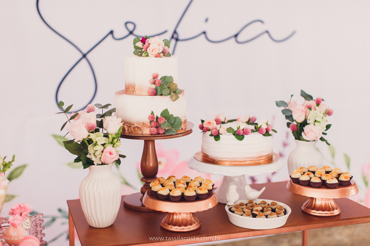 foto de chá bebê, decoração linda de chá de bebê, mãe de menina, decoração de chá de bebê de menina, decoração rosa e branca de chá de bebê, tássila costa fotografia, sandra festas, decoração de chá de bebê em Vila Velha ES, pais de primeira viagem