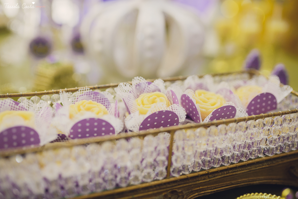 aniversário lindo da princesa sofia, em vitória ES, decoração da Chic Ballon, festa de menina, festa no condomínio em Vix ES, fotos by Tássila Costa