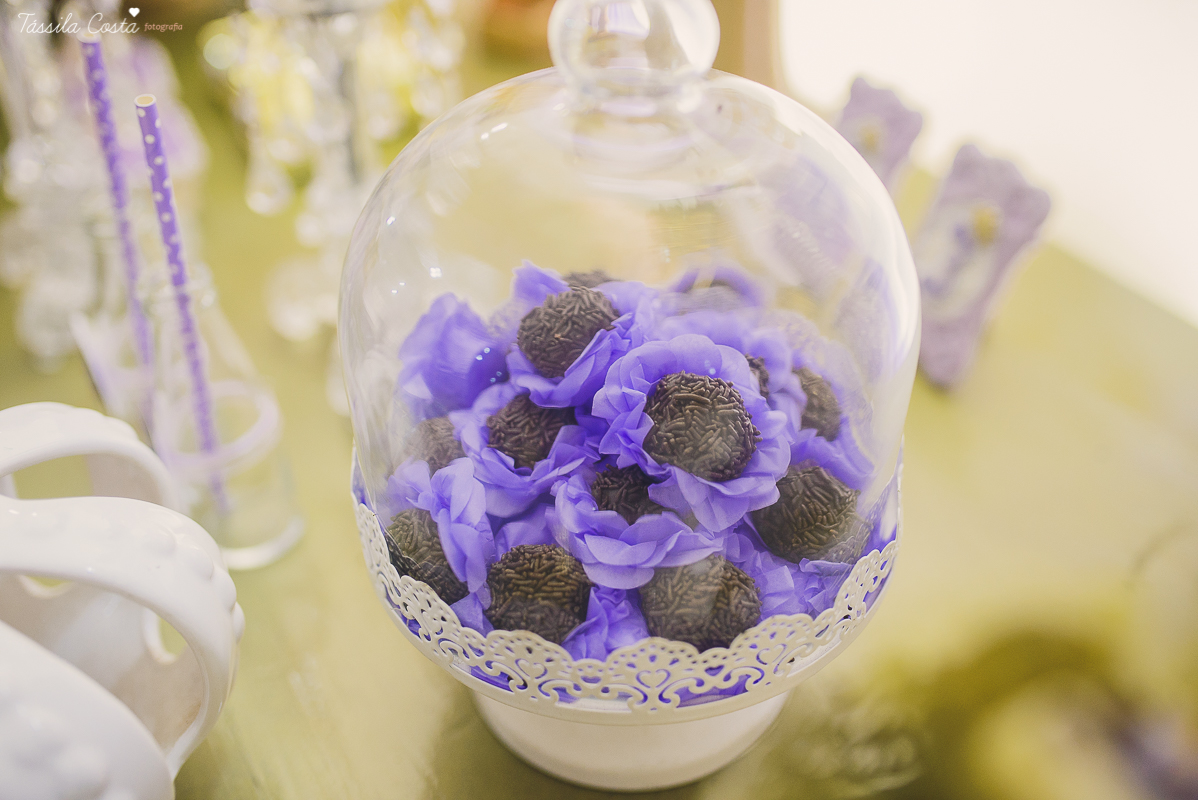 aniversário lindo da princesa sofia, em vitória ES, decoração da Chic Ballon, festa de menina, festa no condomínio em Vix ES, fotos by Tássila Costa