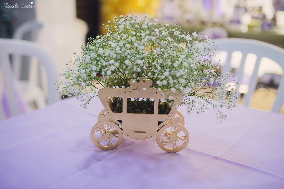 aniversário lindo da princesa sofia, em vitória ES, decoração da Chic Ballon, festa de menina, festa no condomínio em Vix ES, fotos by Tássila Costa