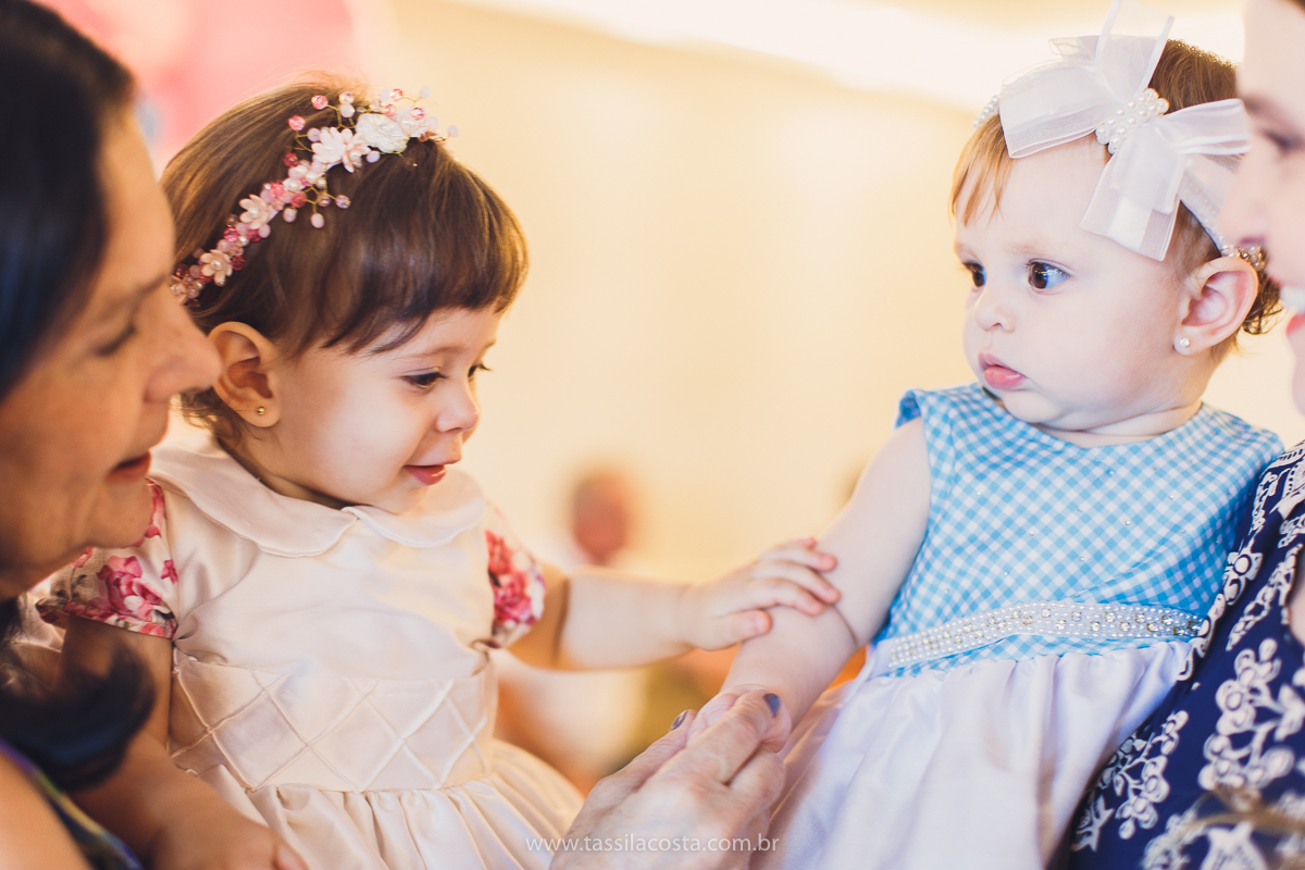 festa infantil linda, na Praia da Costa, Vila Velha, ES, tema Jardim, Jardim da Bettina, festa de menina, festa rosa para aniversário de 1 ano, primeiro ano da minha filha, vestido lindo para vestir no aniversário de 1 ano, fotografia de festa infantil
