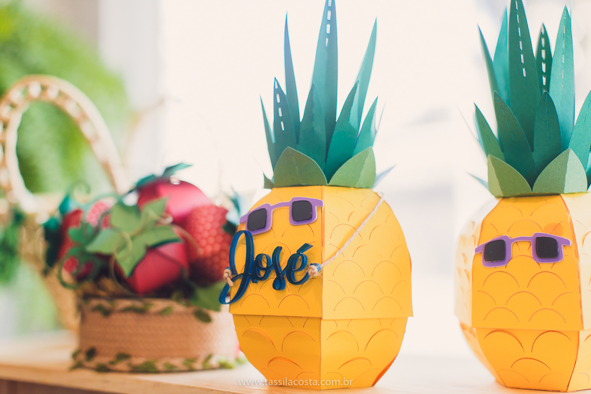 festa infantil em Vitória ES, fotografia de festa infantil em Vitória, festa de aniversário do filho da Thanandra, Thanandra e José, 2 anos do José, fotos lindas de aniversário infantil, tema de aniversário super diferente, festa de menino, 2 anos 