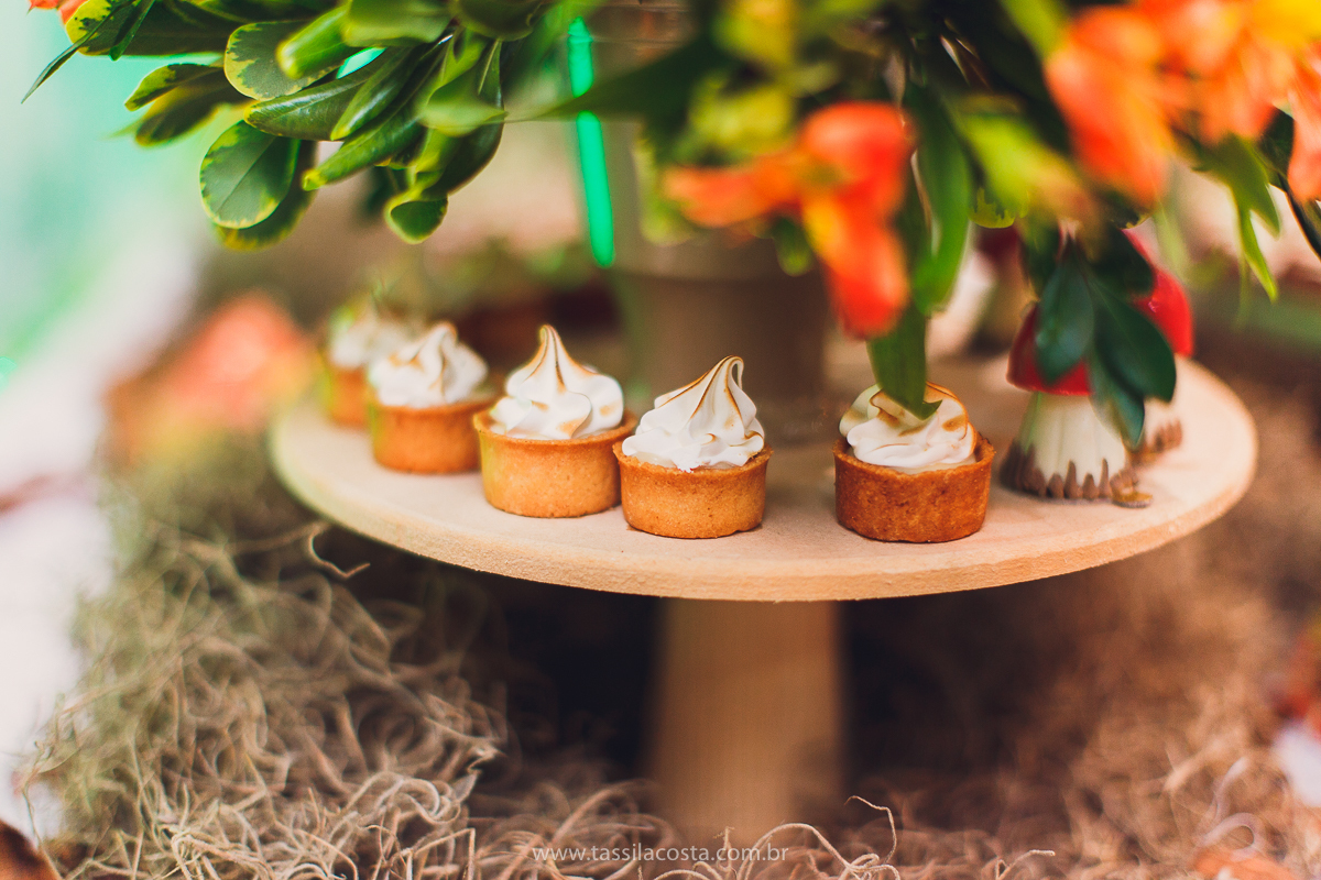 festa com tema super diferente, festa de menino, no cerimonial Ratiboom em Campo Grande, ES, decoração da Giovana da Xic Baloon, decoração no tema Bosque, Bosque do Pedro, fotografia de festa infantil, fotos lindas de aniversário infantil, 1 ano do meu bb