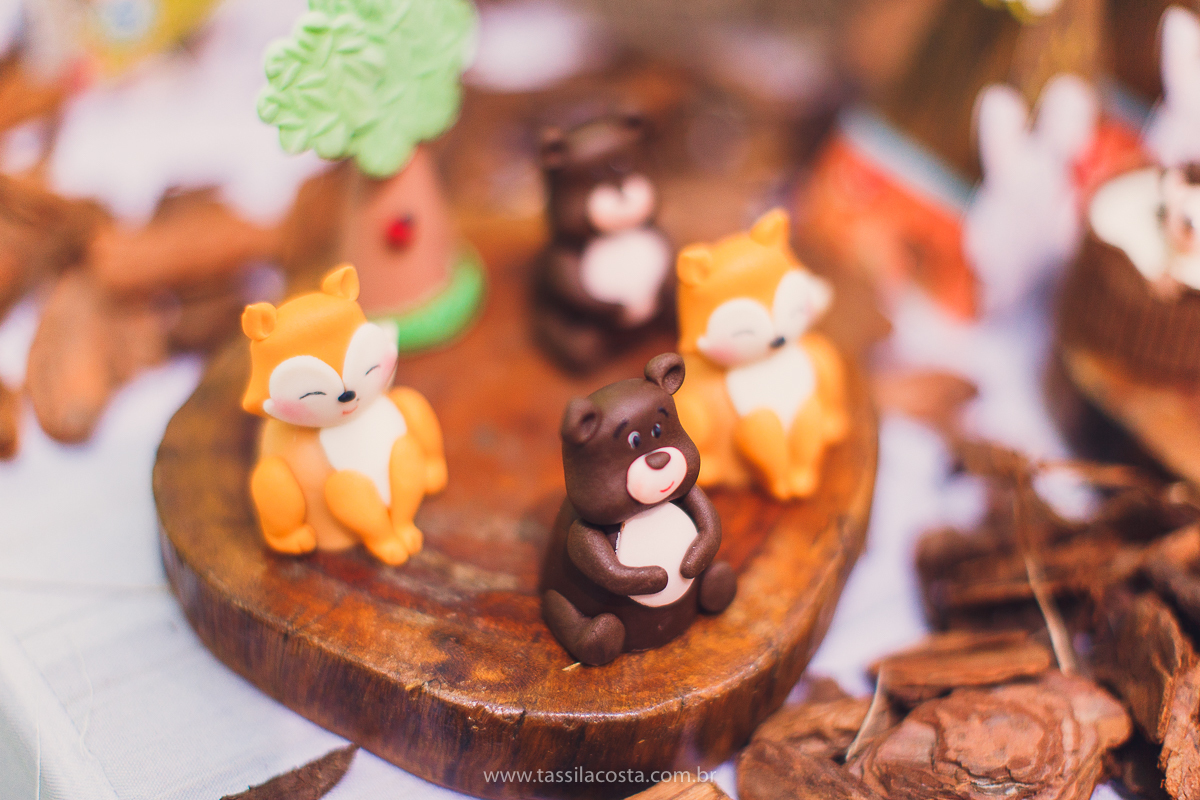 festa com tema super diferente, festa de menino, no cerimonial Ratiboom em Campo Grande, ES, decoração da Giovana da Xic Baloon, decoração no tema Bosque, Bosque do Pedro, fotografia de festa infantil, fotos lindas de aniversário infantil, 1 ano do meu bb