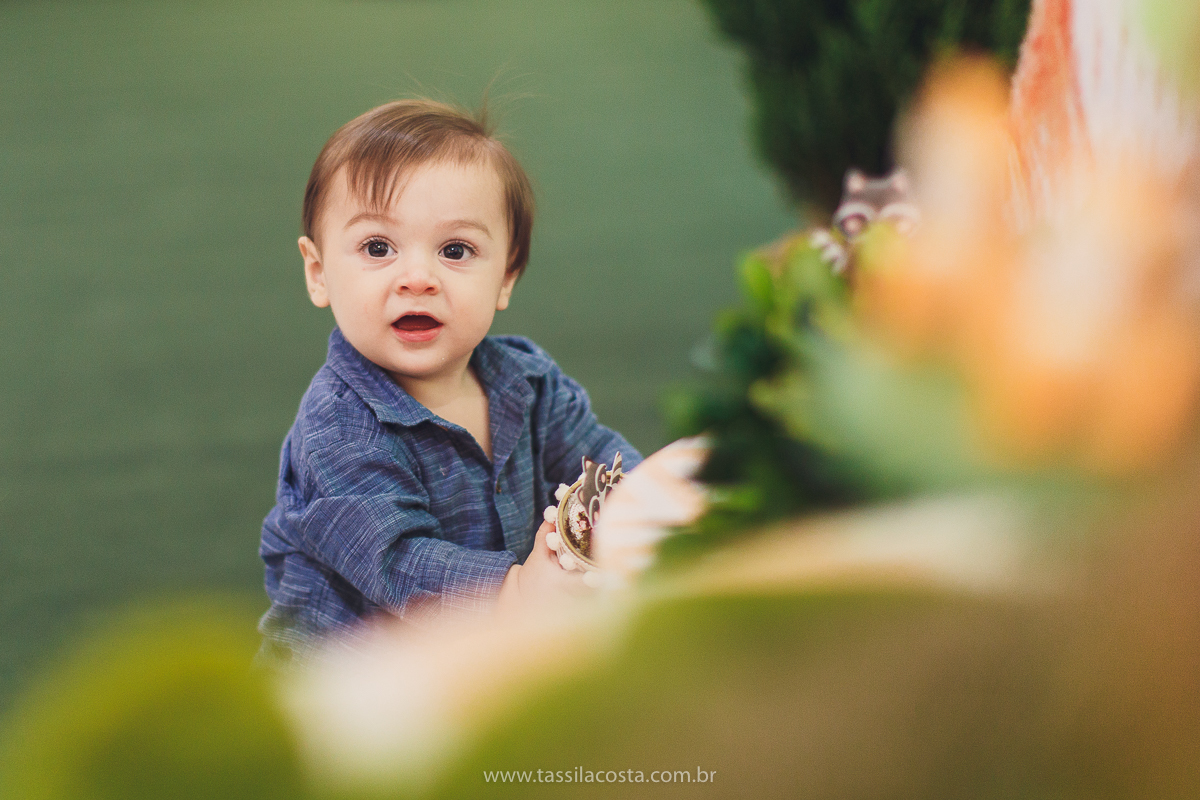 festa com tema super diferente, festa de menino, no cerimonial Ratiboom em Campo Grande, ES, decoração da Giovana da Xic Baloon, decoração no tema Bosque, Bosque do Pedro, fotografia de festa infantil, fotos lindas de aniversário infantil, 1 ano do meu bb