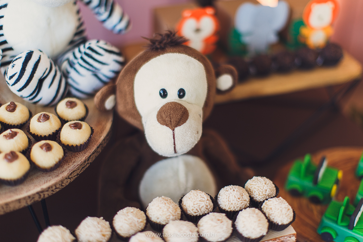 festa infantil de menino, no tema Safari, festa dos sonhos feita em casa, decoração by Loely eventos, mãe e pai de primeira viagem