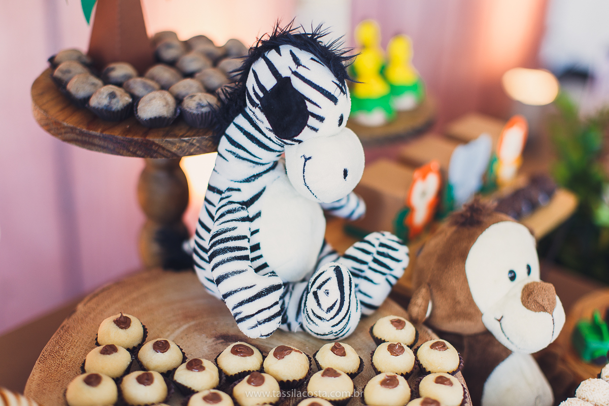 festa infantil de menino, no tema Safari, festa dos sonhos feita em casa, decoração by Loely eventos, mãe e pai de primeira viagem