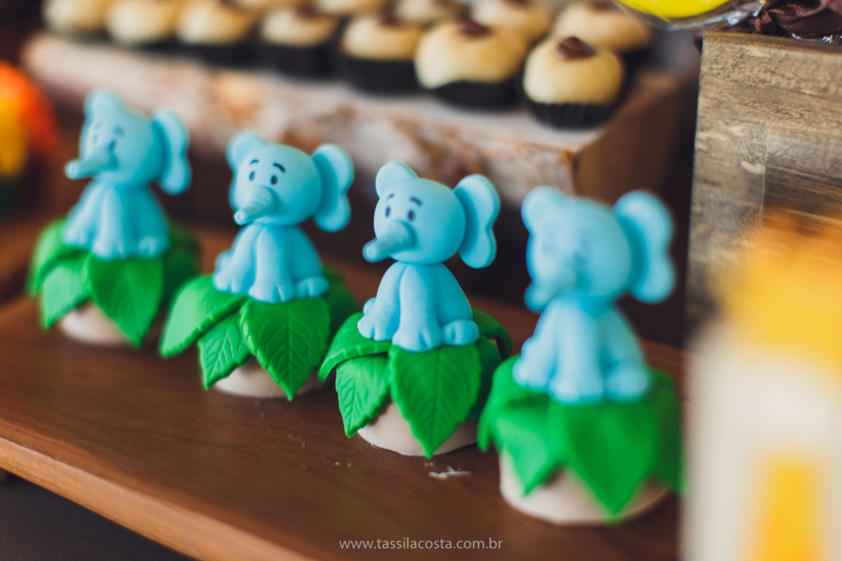 festa infantil de menino, no tema Safari, festa dos sonhos feita em casa, decoração by Loely eventos, mãe e pai de primeira viagem