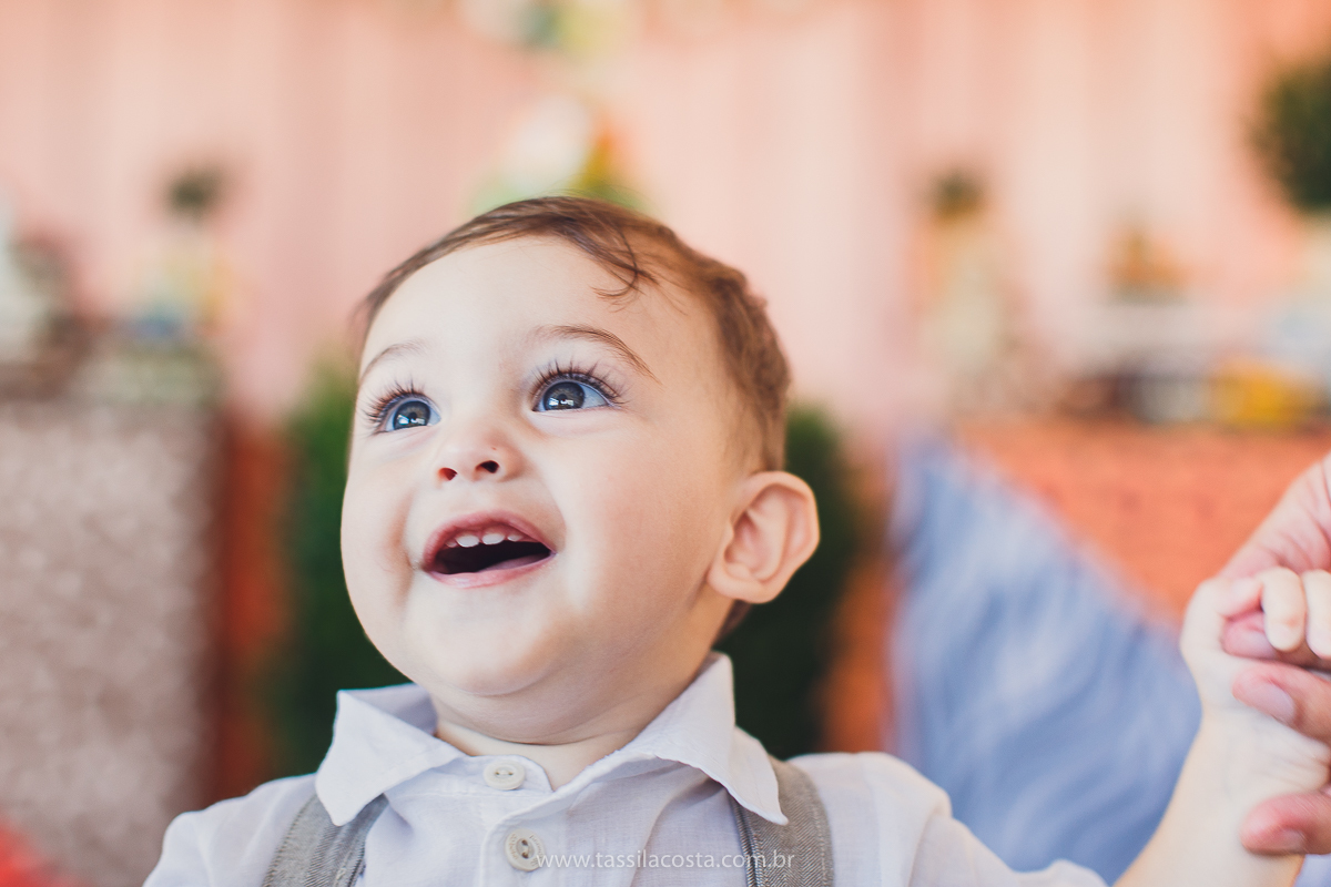 festa infantil de menino, no tema Safari, festa dos sonhos feita em casa, decoração by Loely eventos, mãe e pai de primeira viagem