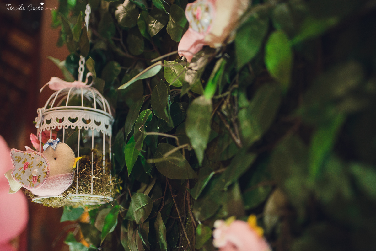 chá de bebê lindo, da Valentina, da mamãe Keila, realizado no cerimonial Fogão de Lenha, na Praia do Canto, próximo ao Triângulo, família linda e super animada