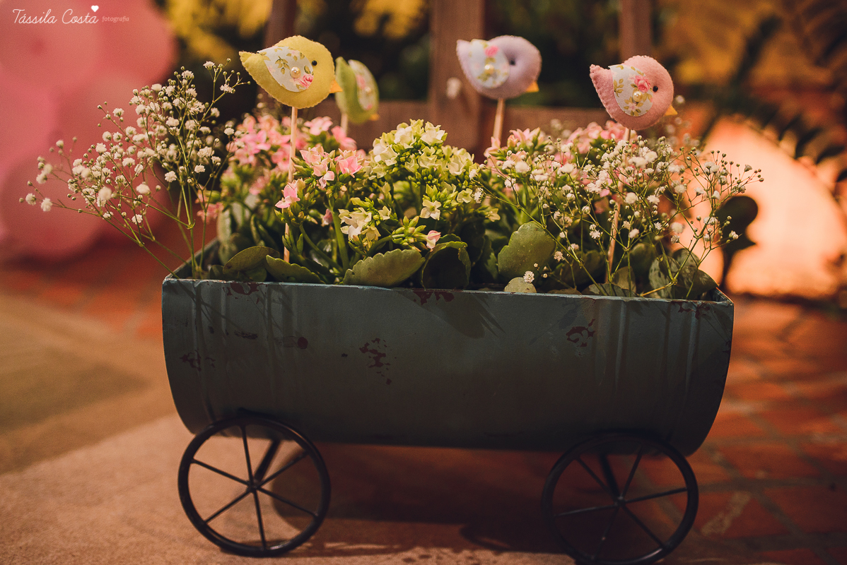 chá de bebê lindo, da Valentina, da mamãe Keila, realizado no cerimonial Fogão de Lenha, na Praia do Canto, próximo ao Triângulo, família linda e super animada
